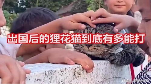 国产咪咪,引领时尚潮流的本土品牌新势力  第2张